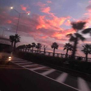 群发宣传册小猴导航
