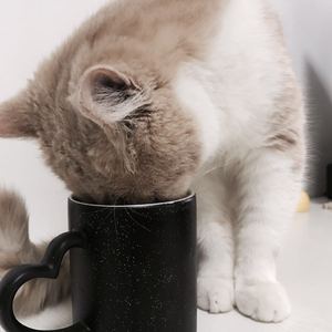 群发宣传册小猴导航
