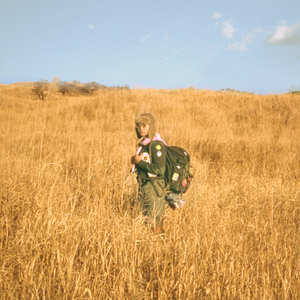 群发宣传册小猴导航
