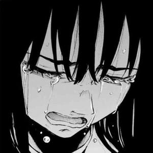 群发宣传册小猴导航
