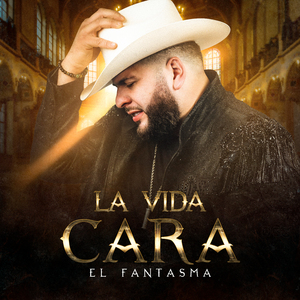 群发宣传册小猴导航
